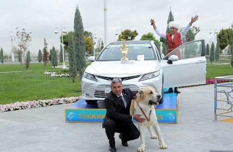 https://vestiabad.ru/news/1471/turkmenistan-shiroko-otmetit-prazdnik-turkmenskogo-alabaya