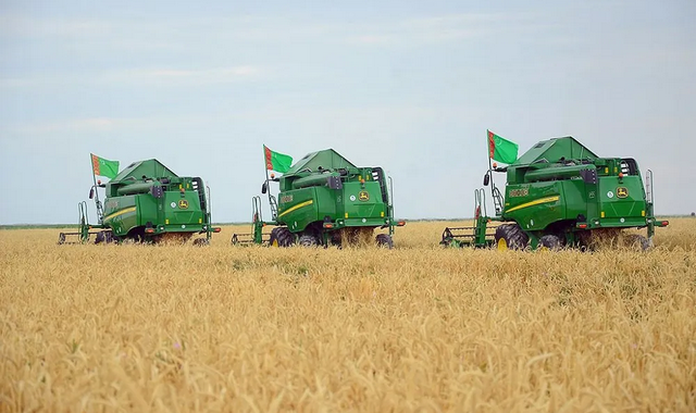 На Востоке Туркменистана завершили подготовку к уборке урожая пшеницы