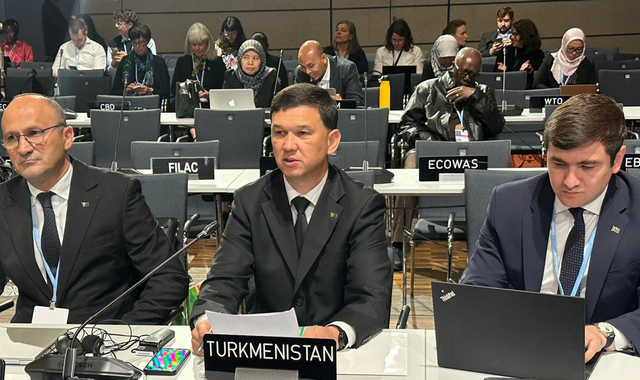 Туркменистан принимает участие в Конференции по изменению климата в Бонне