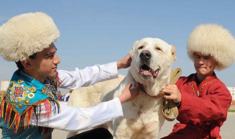 https://vestiabad.ru/news/2755/turkmenistan-sohranit-tradicii-razvedeniya-alabaev