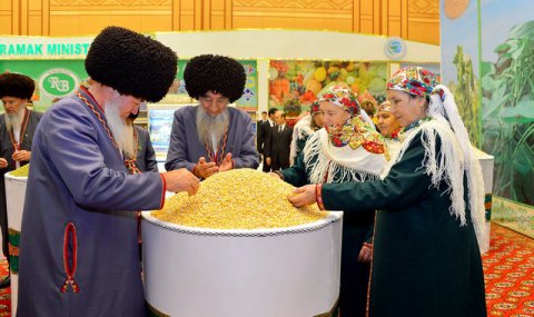 https://vestiabad.ru/news/7740/v-turkmenistane-prodolzhaetsya-sev-pshenicy-i-sbor-hlopka