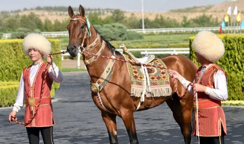 https://vestiabad.ru/news/4152/statyu-posla-turkmenistana-ob-ahaltekinskih-skakunah-opublikovali-v-al-sharq