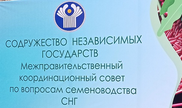 В Туркменистане соберутся эксперты семеноводческого сектора стран СНГ