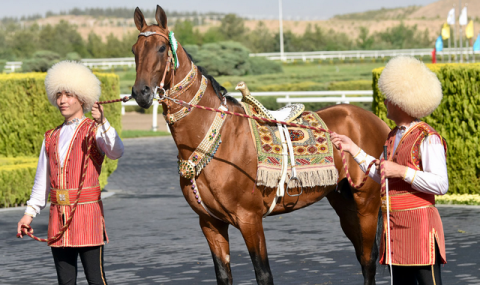 https://vestiabad.ru/news/6421/turkmenskie-skakuny-v-centre-vnimaniya-kitaiskih-turistov