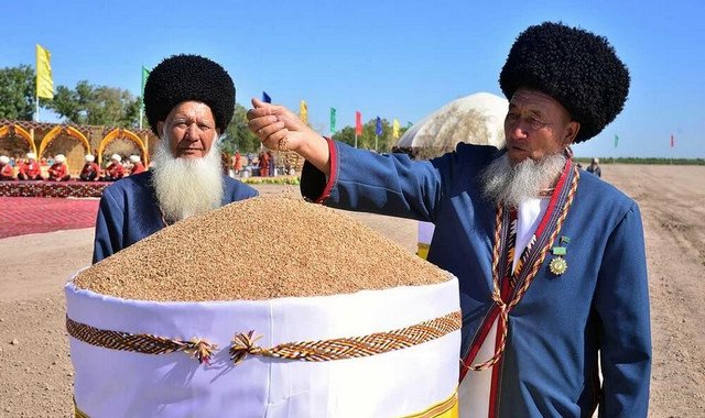 Туркменистан изучит российскую систему проверки качества зерна