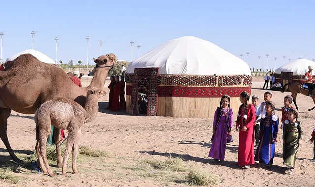 Молодой верблюжонок Ыхлас прославился на празднике Новруз в Туркменистане