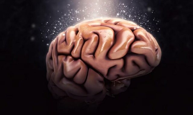 Ученые: Обнаружены участки мозга, связанные с заиканием