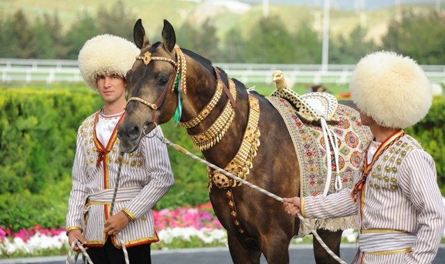 Сердар Бердымухамедов поручил сохранить чистокровность породы ахалтекинских скакунов