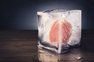 Китайские ученые заморозили мозг и были поражены результатами через 18 месяцев