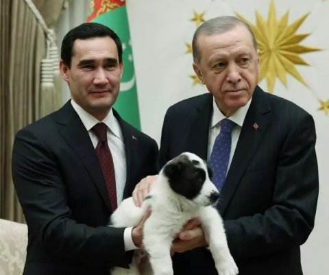 https://vestiabad.ru/news/1501/prezidenty-turkmenistana-i-turcii-obmenyalis-shchenkami-v-znak-druzhby