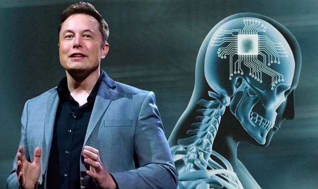 Илон Маск: В будущем мозговые импланты заменят смартфоны