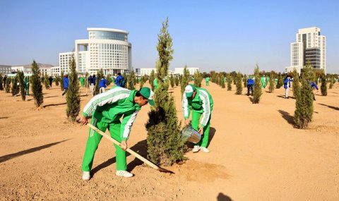 https://vestiabad.ru/news/8136/prezident-turkmenistana-dal-start-vsenarodnoi-akcii-po-posadke-derevev