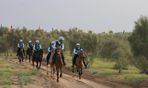 https://vestiabad.ru/news/4619/v-turkmenistane-proshel-konnyi-marafon-po-sluchayu-dnya-ahaltekinskogo-skakuna