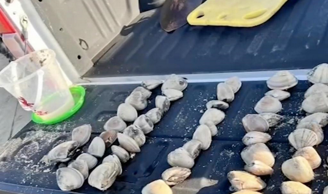 Женщину из Калифорнии оштрафовали на почти $89 000 за незаконный сбор моллюсков её детьми