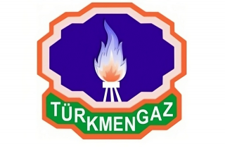 В Туркменистане ведутся работы по установке «умных» счетчиков газа
