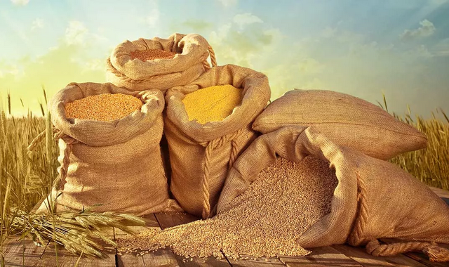 Сердар Бердымухамедов повысил закупочные цены на хлопок и пшеницу