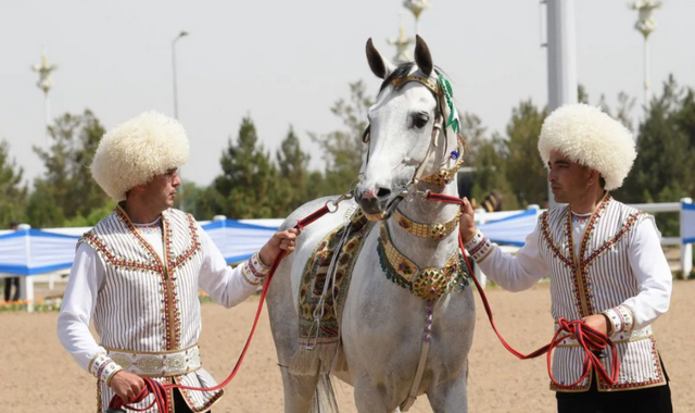 Туркменский город Аркадаг впервые проведет конкурс красоты скакунов