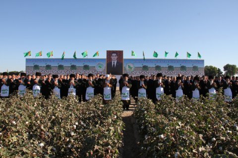 https://vestiabad.ru/news/1574/v-turkmenistane-sozdan-novyi-vysokourozhainyi-sort-tonkovoloknistogo-hlopka