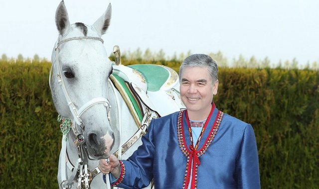Чудо туркменской земли - ахалтекинские кони