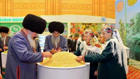 https://vestiabad.ru/news/1663/serdar-berdymuhamedov-pozdravil-turkmenistancev-s-prazdnikom-urozhaya