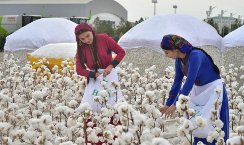 https://vestiabad.ru/news/6722/na-vostoke-turkmenistana-zavershaetsya-podgotovka-k-sboru-urozhaya-hlopka