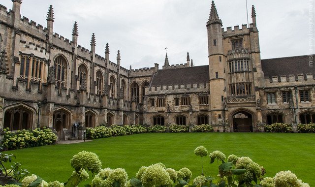 В Великобритании Оксфорд закрыл Институт будущего человечества