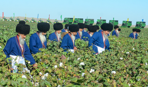 https://vestiabad.ru/news/7033/v-turkmenistane-nachalas-masshtabnaya-kampaniya-po-sboru-hlopka