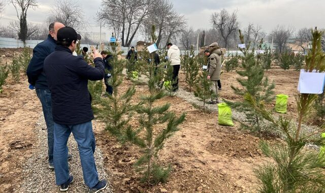 Туркменское посольство приняло участие в озеленении Душанбе