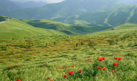 https://vestiabad.ru/news/4339/turkmenistan-rasshiryaet-sotrudnichestvo-v-oblasti-ekologii