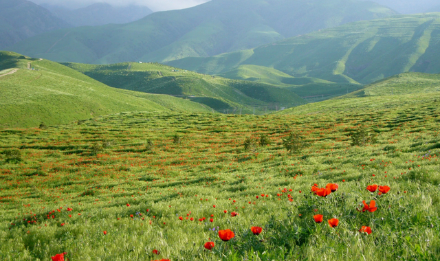 Туркменистан расширяет сотрудничество в области экологии