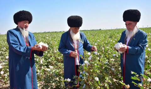 https://vestiabad.ru/news/6947/turkmenistan-nachnet-sbor-hlopka-11-sentyabrya