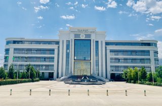 В Туркменистане с 1 июля запустят пилотный проект по статистике