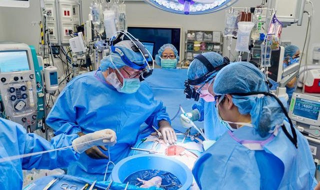 В США впервые человеку пересадили искусственное сердце и почку свиньи