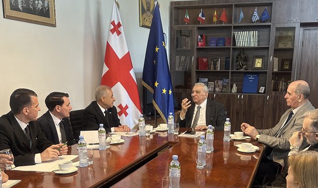 Президент Академии наук Туркменистана встретился с грузинским коллегой