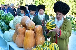Земледельцы Балканского велаята Туркменистана соберут 52 400 тонн бахчевых