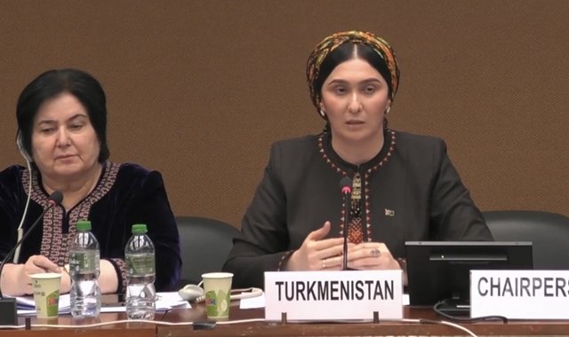 Туркменистан поучаствовал на сессии Комитета по ликвидации дискриминации в отношении женщин