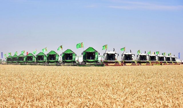 В Туркменистане утвердили состав госкомиссии по проведению жатвы зерновых