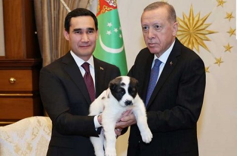 https://vestiabad.ru/news/1530/prezident-turkmenistana-pozdravil-tureckogo-kollegu-s-nacionalnym-prazdnikom