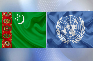 Туркменистан и ООН обсудили результативность взаимовыгодного сотрудничества