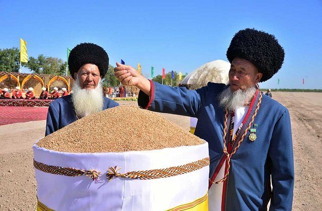 В регионах Туркменистане с благословения президента начался сев озимой пшеницы