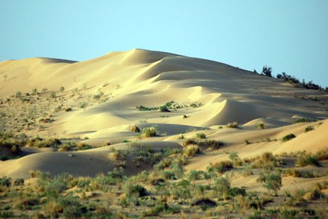 https://vestiabad.ru/news/905/v-turkmenystane-b-ly-predstavlen-letopysy-pryrod-hosudarstvenn-kh-zapovednykov