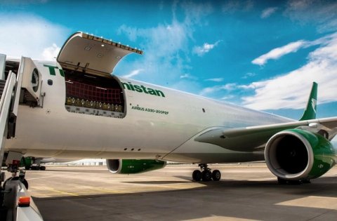 https://vestiabad.ru/news/1193/turkmenskye-avyalynyy-nachaly-sotrudnychat-s-ytalianskoi-avyakompanyei-air-cargo-ias