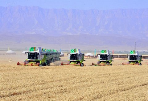 https://vestiabad.ru/news/932/v-turkmenystane-startovala-zernouborochnaia-strada